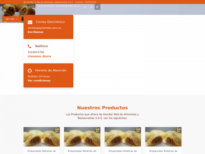 ayhombe.com.co snapshot