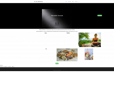 togowellness.com snapshot