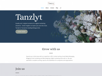 www.tanzlyt.com snapshot