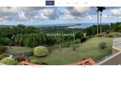 leandracamille.com snapshot