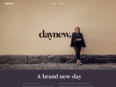daynew.se snapshot