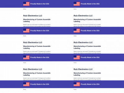 ruizelectronicsllc.com snapshot