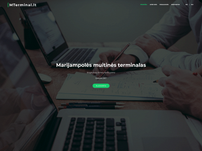 mterminal.lt snapshot