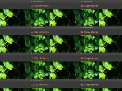 jlcarpinteros.com snapshot