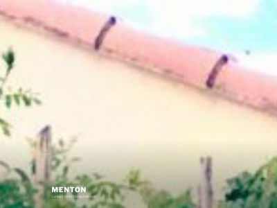 menton.one snapshot