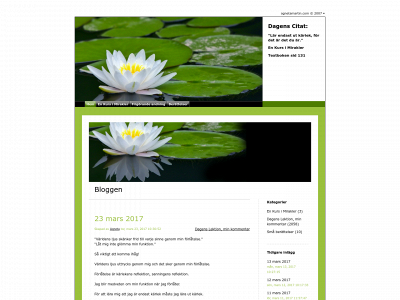 agnetamartin.com snapshot