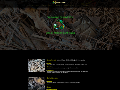 metalynas.lt snapshot