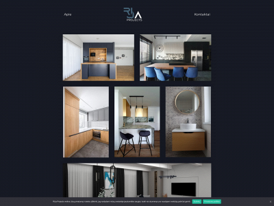 rija.lt snapshot