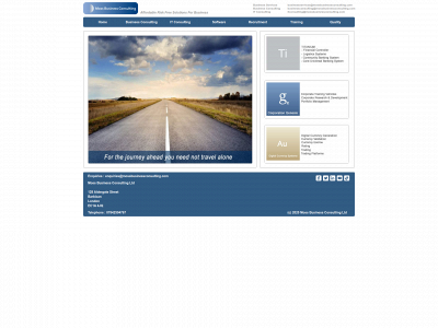 mossbusinessconsulting.com snapshot
