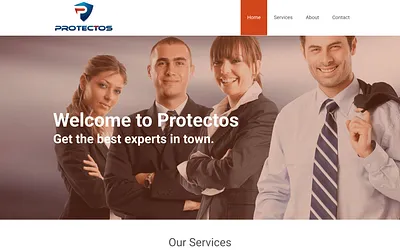protectos.one snapshot