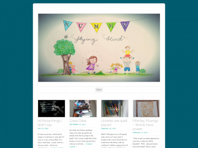 mummyflyingblind.com snapshot