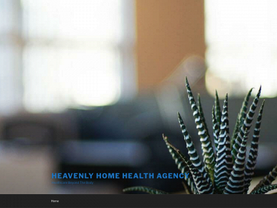 heavenlyhomehealth.com snapshot