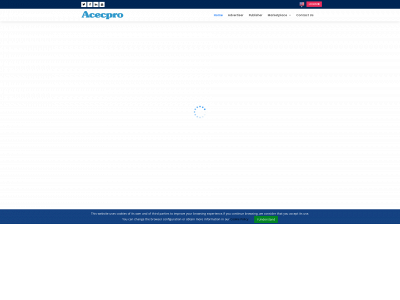 acecpro.com snapshot