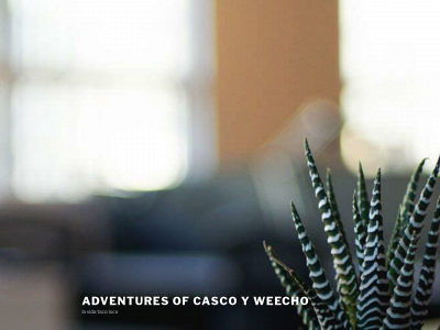 adventuresofcascoyweecho.com snapshot