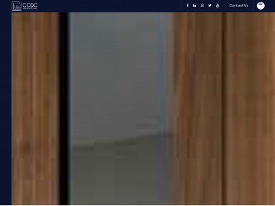 ccdcinternational.com snapshot
