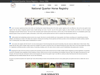nqhr.info snapshot