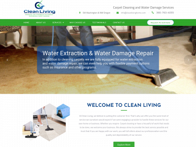 cleanlivinghome.com snapshot