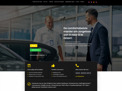 taxitransportationservices.com snapshot