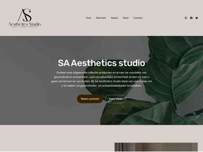 saaestheticsstudio.com snapshot