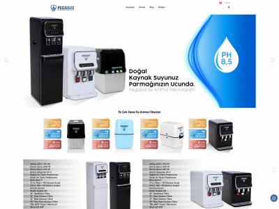 pegasusaritmasu.com snapshot