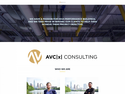 avcxconsulting.com snapshot