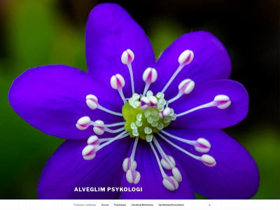 psykologijonkoping.se snapshot