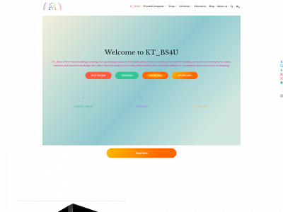 bestsale4u.site snapshot