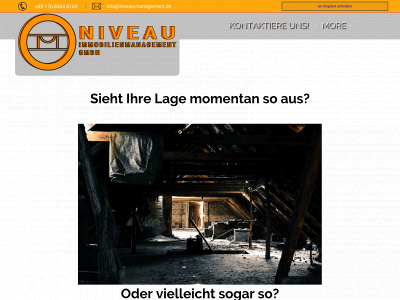 niveau-management.de snapshot
