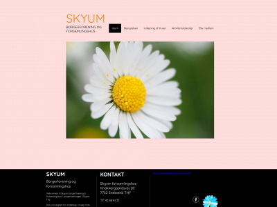 skyuminfo.dk snapshot