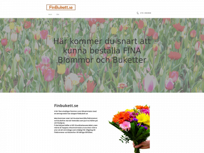 finbukett.se snapshot