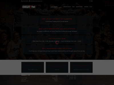 crossfitpro1.com snapshot