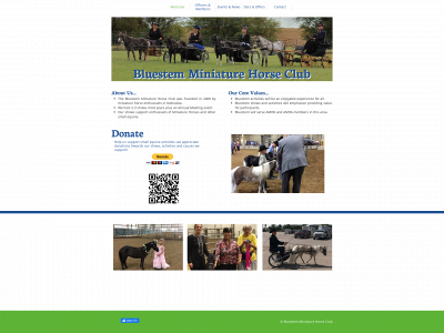 bluestemminihorse.com snapshot