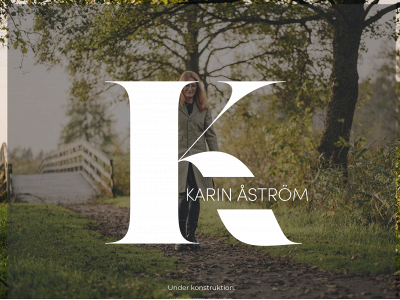 karinastrom.com snapshot
