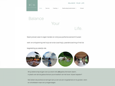 suc6-consulting.be snapshot