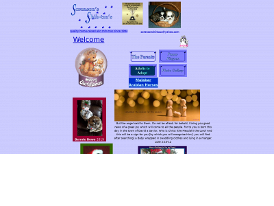 sorensonshihtzus.com snapshot