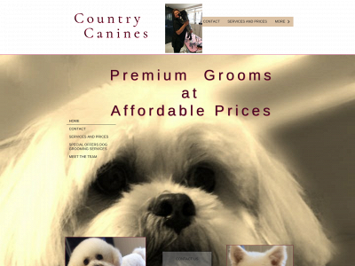 countrycaninesdoggrooming.co.uk snapshot