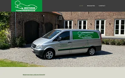 mesterom.com snapshot