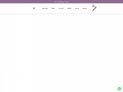 bobasheir.com snapshot