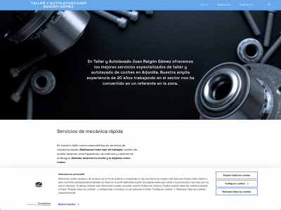 www.tallerjuanraigon.com snapshot