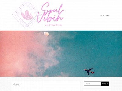 soulvibin.org snapshot