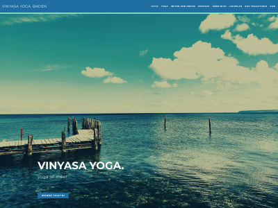 vinyasa.ch snapshot
