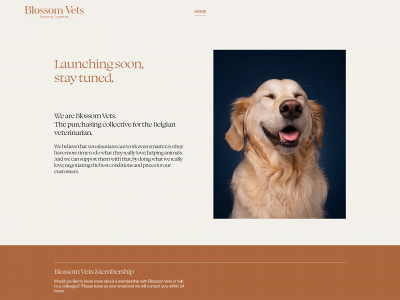 blossomvets.com snapshot