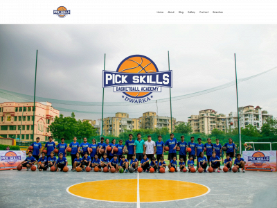 pickskillsbasketballacademy.com snapshot
