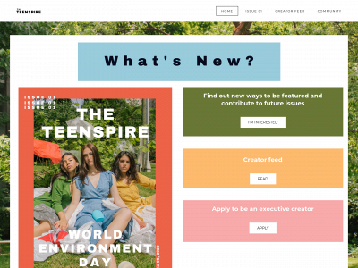 www.theteenspire.com snapshot