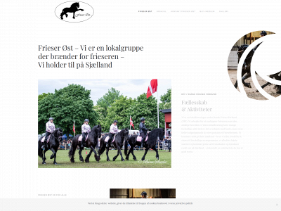 frieser-east.dk snapshot