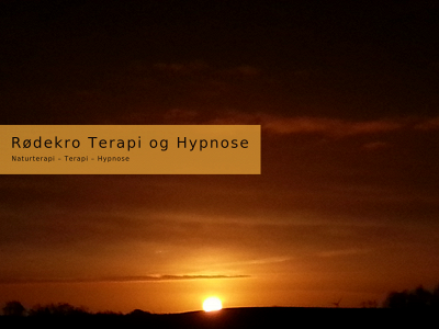 roedekrohypnose.dk snapshot