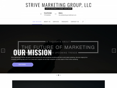 strivemarketingllc.com snapshot