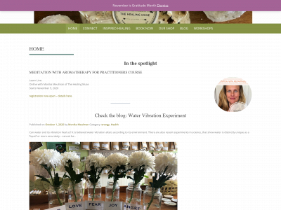 healingmuse.com snapshot