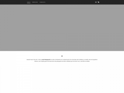 javidpeluqueria.com snapshot
