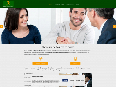 remosaseguros.com snapshot